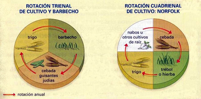 Lord Townshend introduce el Sistema Norfolk en la agricultura.