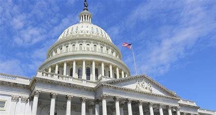 U.S Midterm Elections