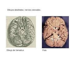 LA EDAD MEDIA