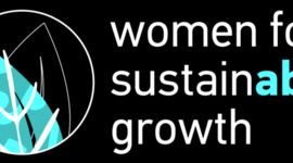 Timeline: WSG Activities Calendar 2011-2012