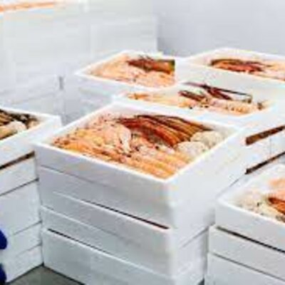 Timeline: Sector de productos del mar congelados