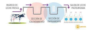 Descubrimiento de la Pasteurización por Louis Pasteur y su aplicación a la leche, vino y cerveza