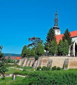 Birth of Ernest Nagel