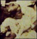 Frances Sandler born 1907