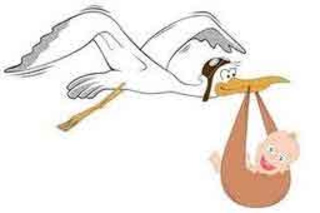 Vino la cigüeña con un hermoso niño.