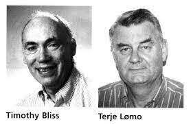 TIMOTHY BIILS Y TERGE LOMO