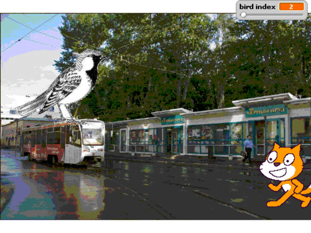 День Скретча в России