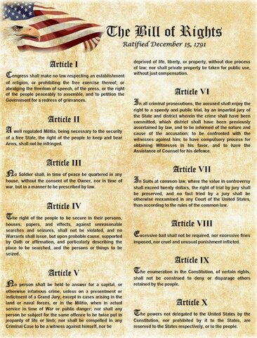 The constitucion and The  Bill of Ritghs