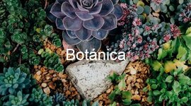 Timeline: HISTORIA DE LA BOTÁNICA - JESÚS DAVID SOLANO FUNEZ