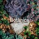 Botánica 3