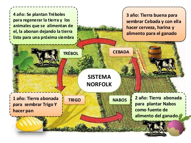 Lord Townshend introduce el sistema Norfolk en la agricultura