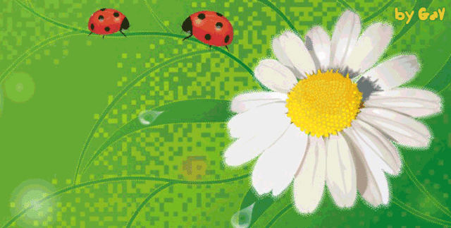 Летняя школа 2009