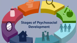 Timeline: Growing up under Erik Erikson Psychosocial stages