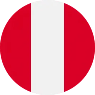 Timeline: Presidentes del Perú 1980-2021 (IV Bimestre)