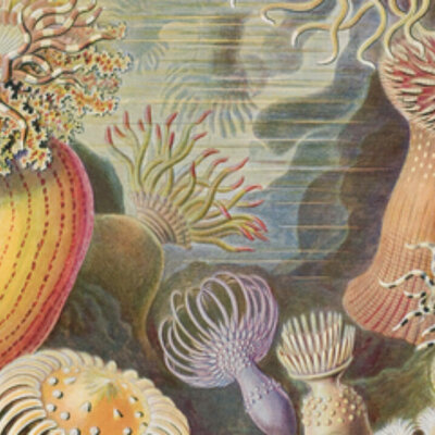 Timeline: ORIGEN DE LA VIDA