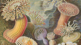 Timeline: ORIGEN DE LA VIDA