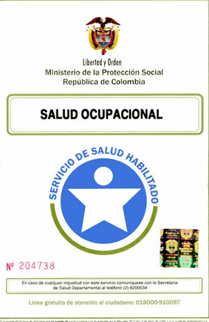 Licencias en Salud Ocupacional