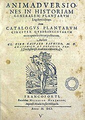 Caspar Bauhin (1596 DC)