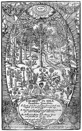 John Parkinson (1640 DC)