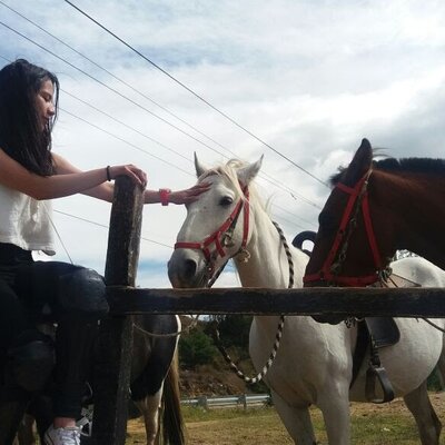 Timeline: Mi linea de tiempo