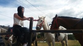 Timeline: Mi linea de tiempo