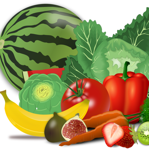 Lisa Helps her Community: Generativity Versus Stagnation