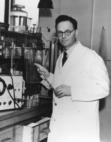 1937	Sir Hans Adolf Krebs