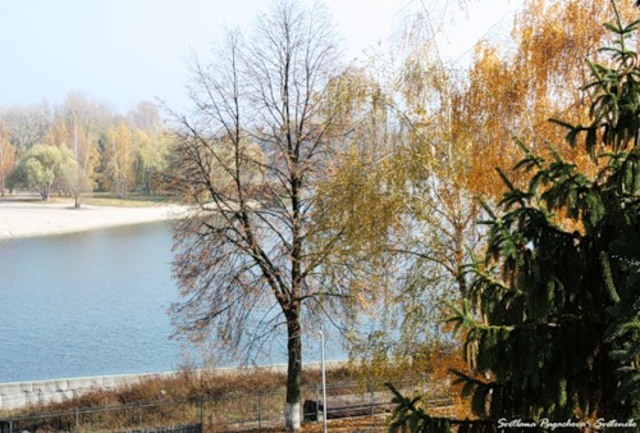 Рождение Н.В.Гоголя