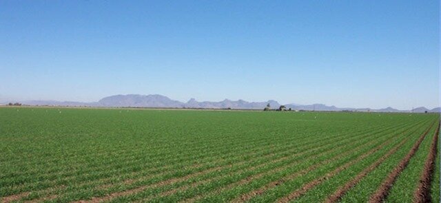 Expropiación de tierras del Valle del Yaqui