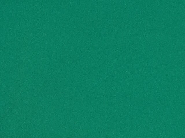 GIAN GALEAZZO MARIA VISCONTI