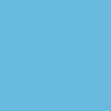 ELETTO CELESTINO V, ma ABDICAZIONE VOLONTARIA -> BONIFACIO VIII