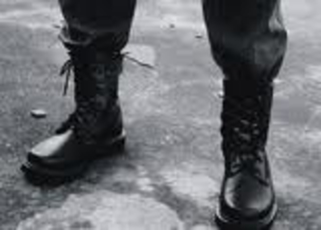 Night of the Coral Snake