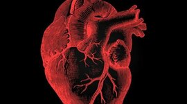 Timeline: edad mijana