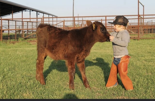 28-32 Months - Form (Phonology, Morphology, & Syntax)