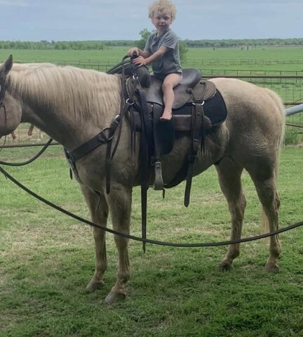 24-28 Months - Content (Semantics)