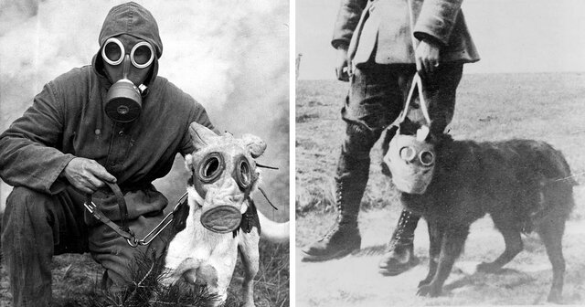 I tedeschi e il gas nervino