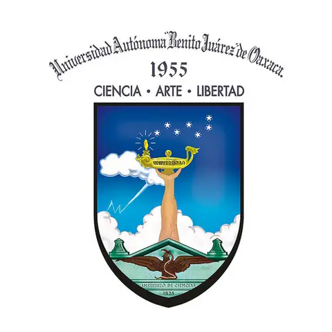 Rector of the Institute of Sciences and Arts