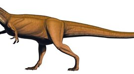 Timeline: Road to Revolutionary War