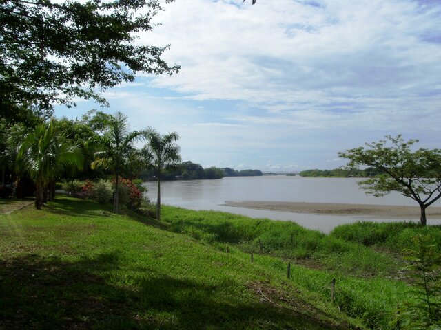 Nacimiento de Michel