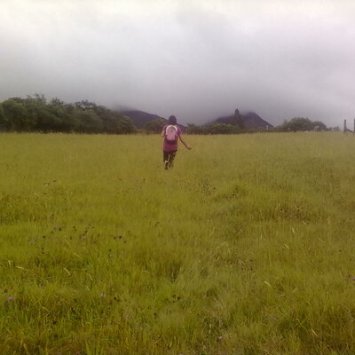 Timeline: Hechos importantes de la vida de Michel