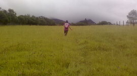 Timeline: Hechos importantes de la vida de Michel