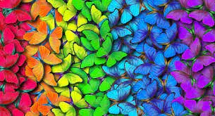 Historia del color