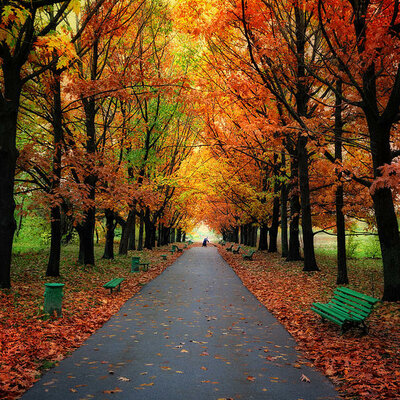 Timeline: My reading history