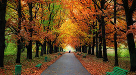 Timeline: My reading history