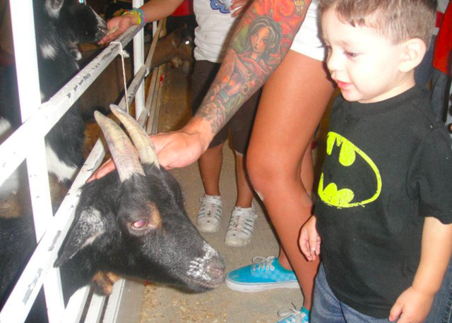 32-36  Months (CONTENT)