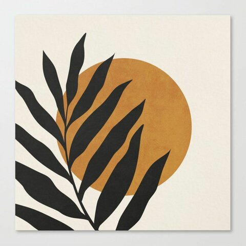 Roman Empire Begins.