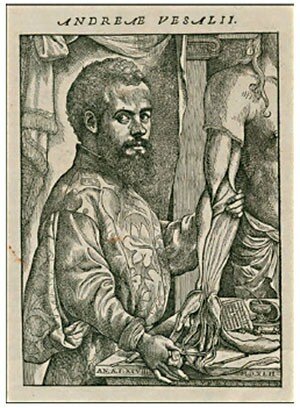 ANDRÉAS VESALIO (1511-1564)
