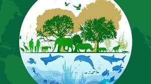 se expidió la Ley General de Vida Silvestre