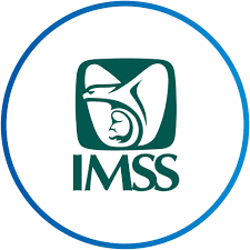Fundacion del IMMS