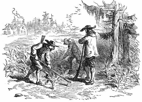 North Carolina Colony Founded